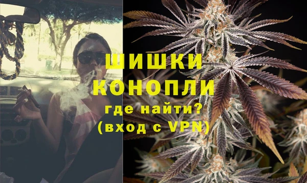 PSILOCYBIN Новокубанск