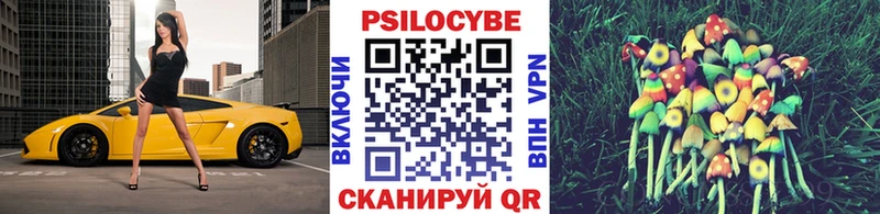 Псилоцибиновые грибы Psilocybine cubensis shop как зайти Сатка закладка