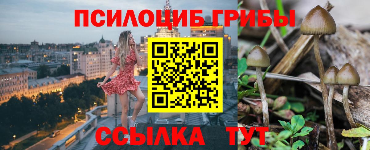Псилоцибиновые грибы GOLDEN TEACHER  Галлюциногенные грибы мухоморы  Сатка  Вход с VPN 