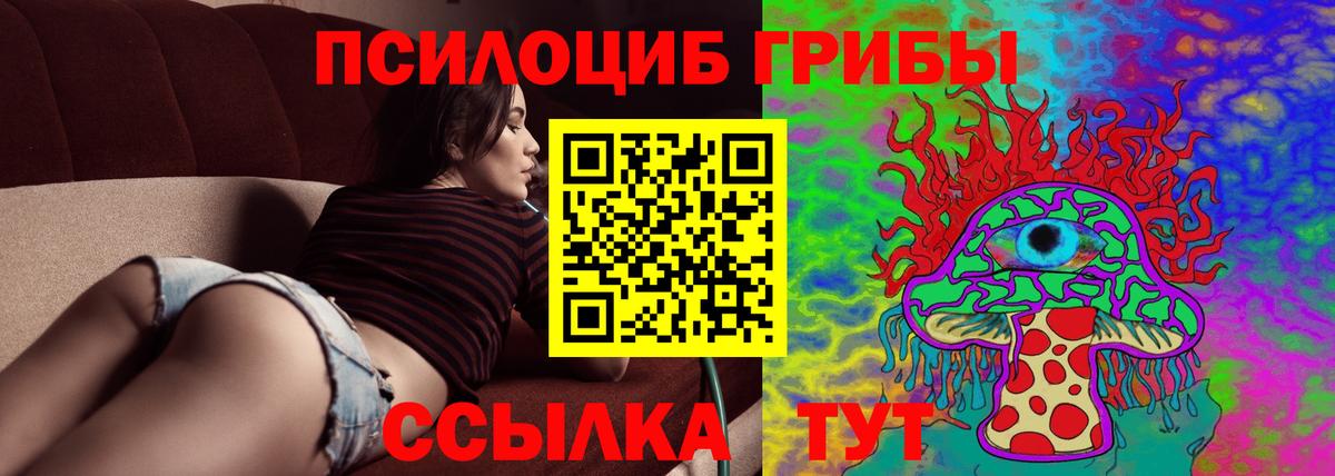 Псилоцибиновые грибы мицелий Сатка