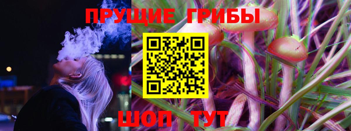 Псилоцибиновые грибы Psilocybe  Сатка 